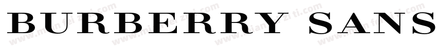 Burberry Sans字体转换